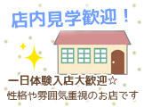 バナー広告