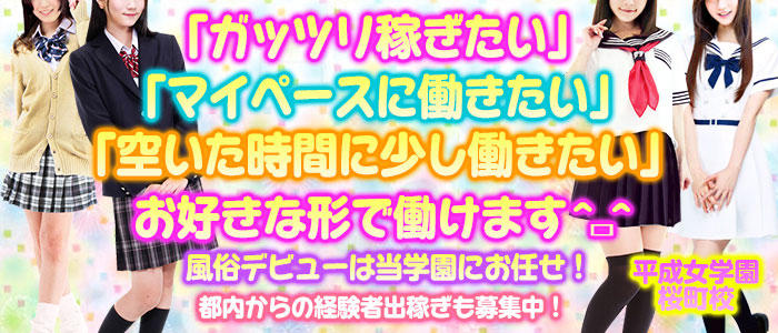 平成女学園桜町校(ミクシーグループ)