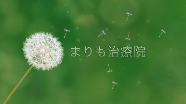 まりも治療院って、こんなお店です♪