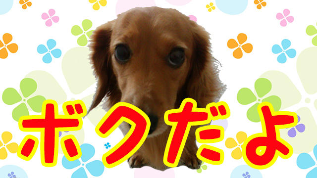 LIPSプラス動画