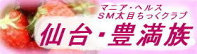 豊満族