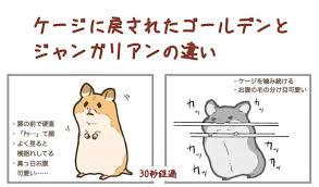 バナー広告