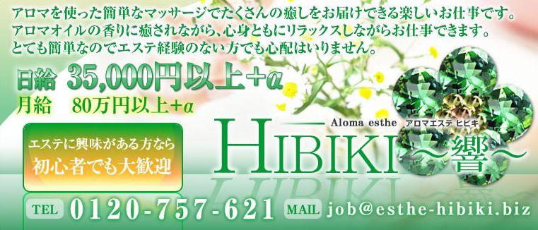 HIBIKI-響-