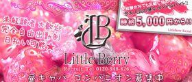 LittleBerry
