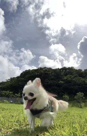 バナー広告