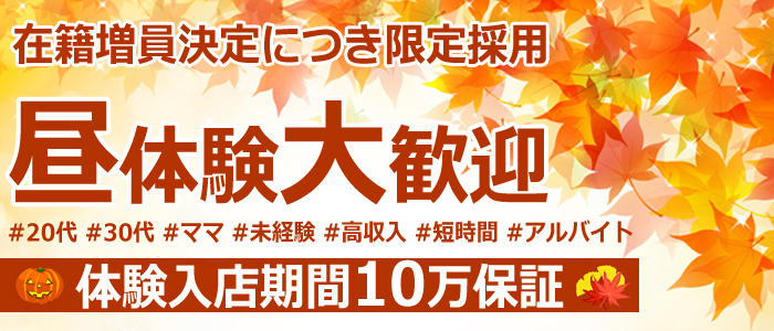 バッドカンパニー熊本