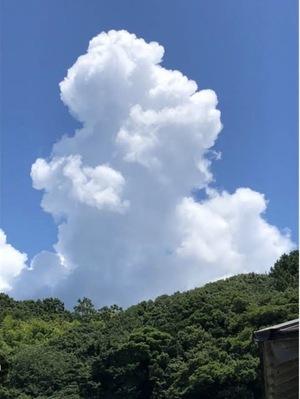 バナー広告