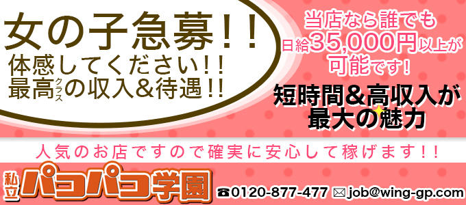 錦糸町私立パコパコ学園
