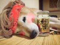 バナー広告