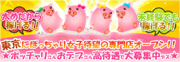 東京ぽっちゃり爆乳隊