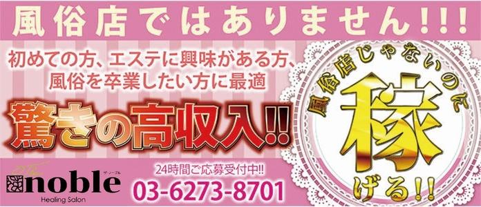 The noble~ザ・ノーブル~