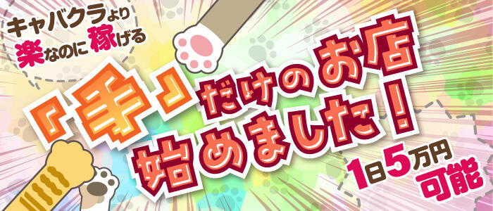 2980円 にゃんきゅっぱ