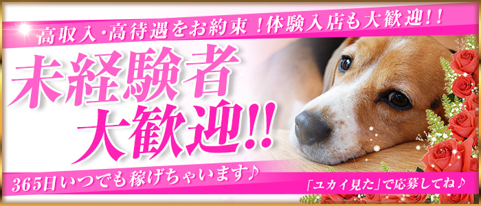 クラブカメハメハ